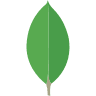 MongoDB